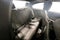 2026 BMW 2 Series 230i xDrive