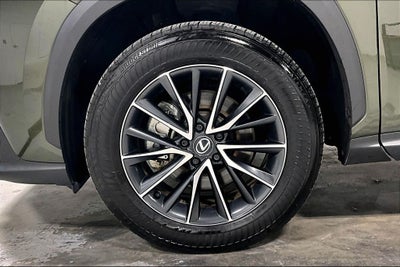 2024 Lexus NX 250 Premium