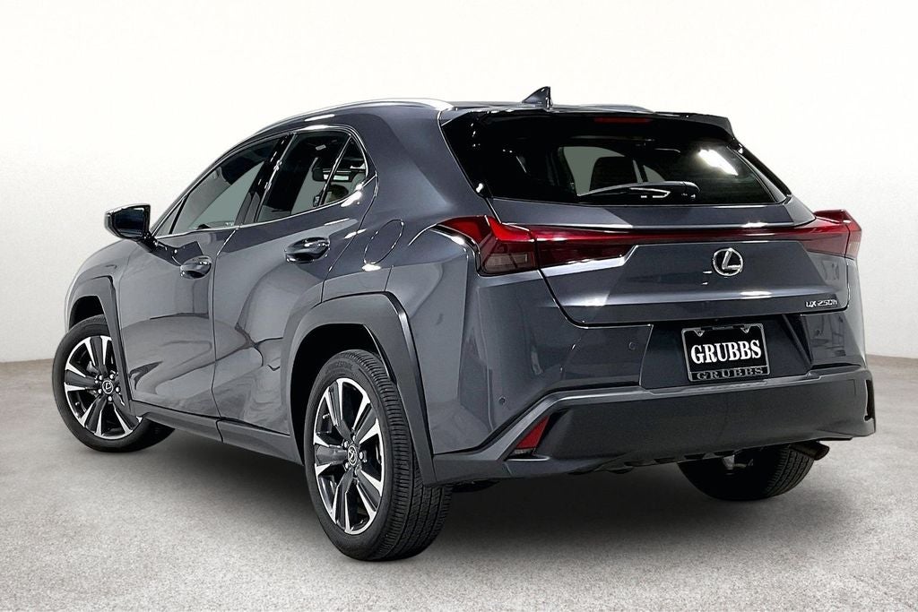 2024 Lexus UX 250h Base