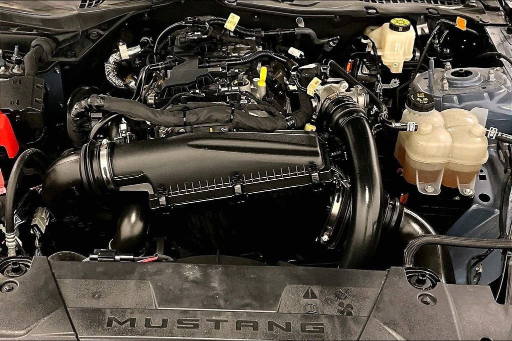 2024 Ford Mustang EcoBoost Premium Fastback