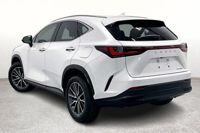 2025 Lexus NX 250 Premium