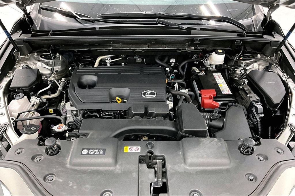 2024 Lexus NX 250 Premium