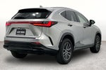 2024 Lexus NX 250 Premium