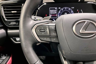 2024 Lexus NX 250 Premium